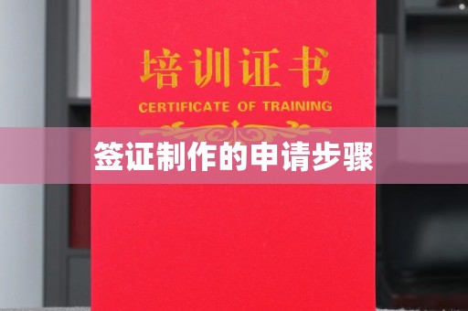 珙县签证制作的申请步骤